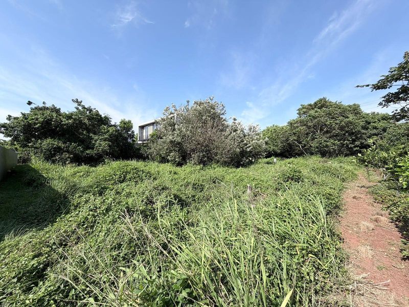 Vacant Land in Elaleni Coastal Forest - Photo 8