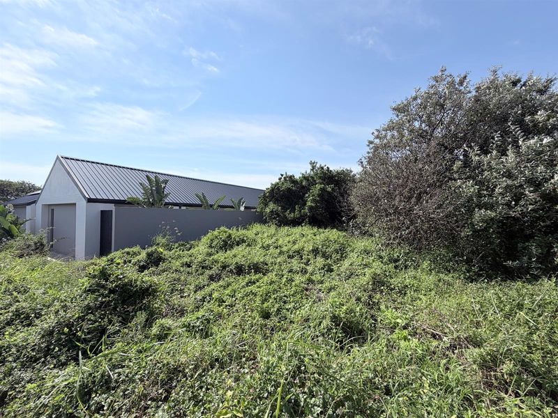 Vacant Land in Elaleni Coastal Forest - Photo 7