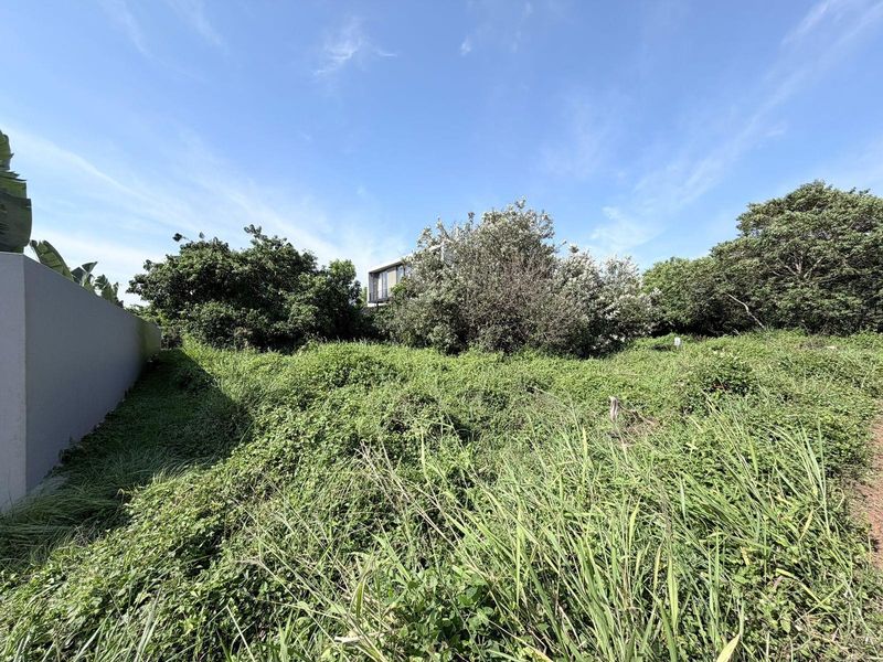 Vacant Land in Elaleni Coastal Forest - Photo 6