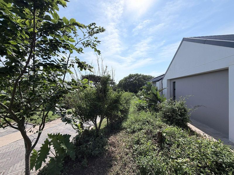 Vacant Land in Elaleni Coastal Forest - Photo 10