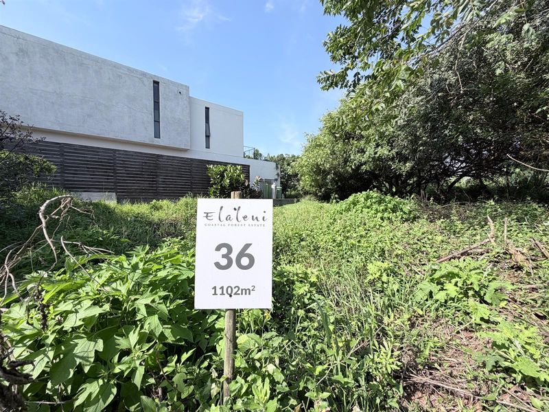 Vacant Land in Elaleni Coastal Forest - Photo 3