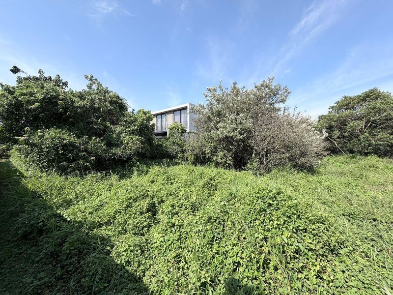 Vacant Land in Elaleni Coastal Forest - Photo 5