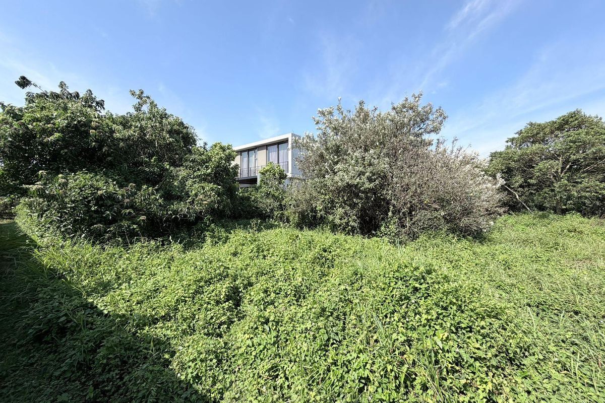 Vacant Land in Elaleni Coastal Forest - Photo 5
