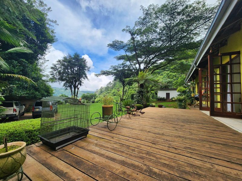 A Rare 7.9 ha Lifestyle Retreat with Endless Potential in the Heart of Magoebaskloof - Photo 4