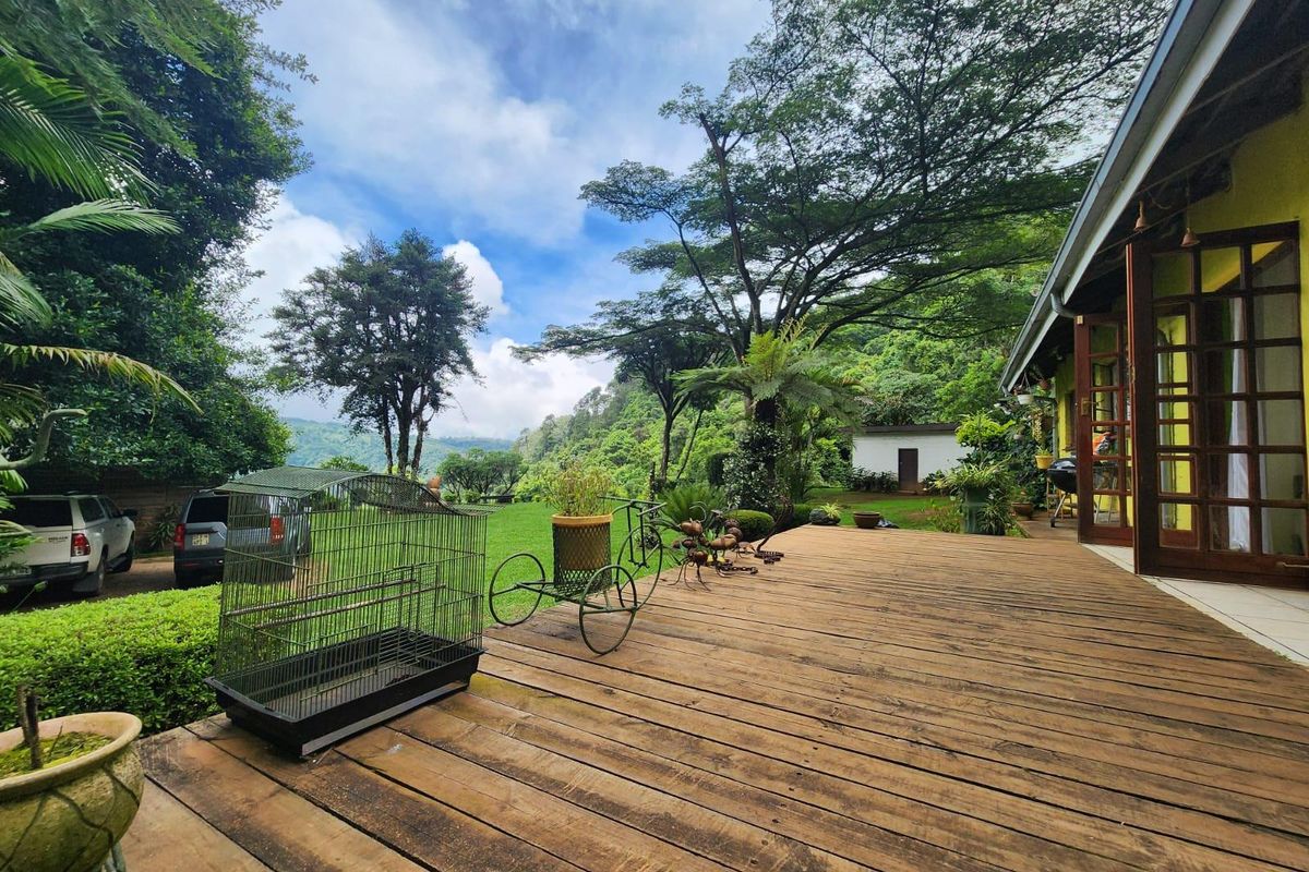 A Rare 7.9 ha Lifestyle Retreat with Endless Potential in the Heart of Magoebaskloof - Photo 4