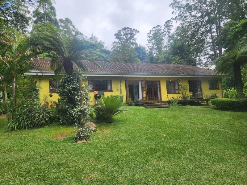 A Rare 7.9 ha Lifestyle Retreat with Endless Potential in the Heart of Magoebaskloof - Photo 2