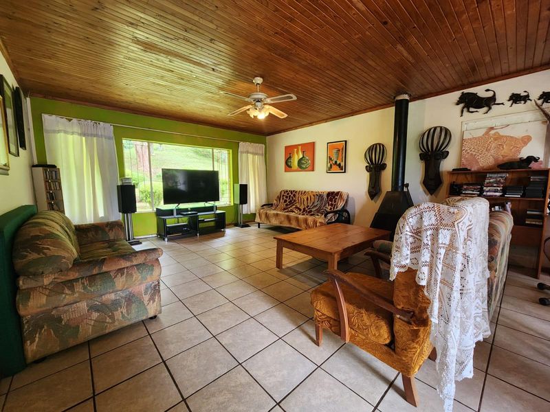 A Rare 7.9 ha Lifestyle Retreat with Endless Potential in the Heart of Magoebaskloof - Photo 5