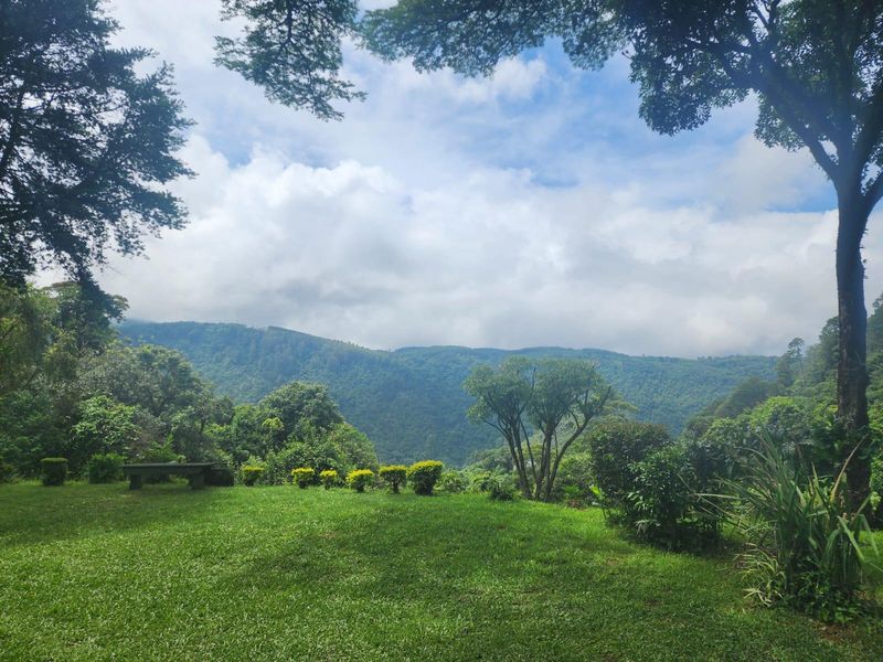 A Rare 7.9 ha Lifestyle Retreat with Endless Potential in the Heart of Magoebaskloof - Photo 1
