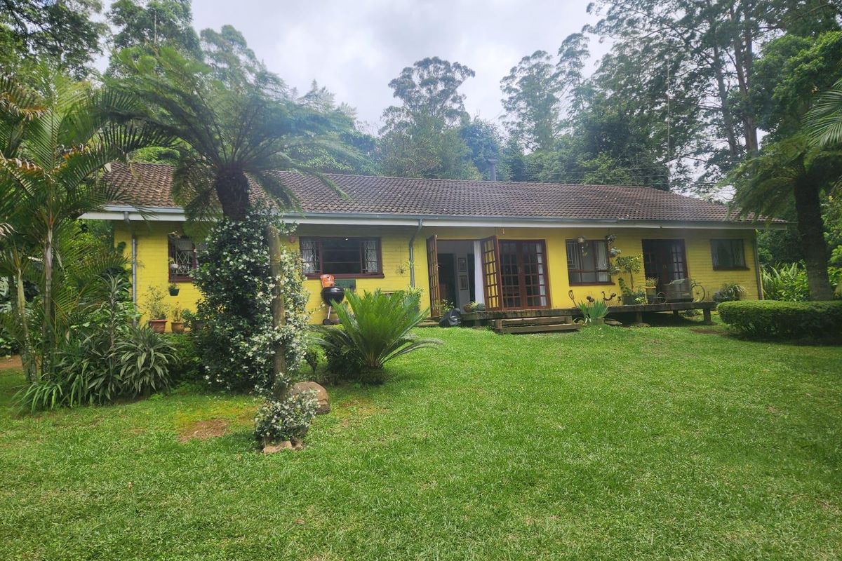A rear view of a yellow-painted single-story home featuring a timber deck, set within a lush, established garden with mature trees.