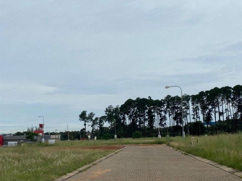 A view of a vacant agricultural land plot featuring a paved access road and surrounding mature trees.