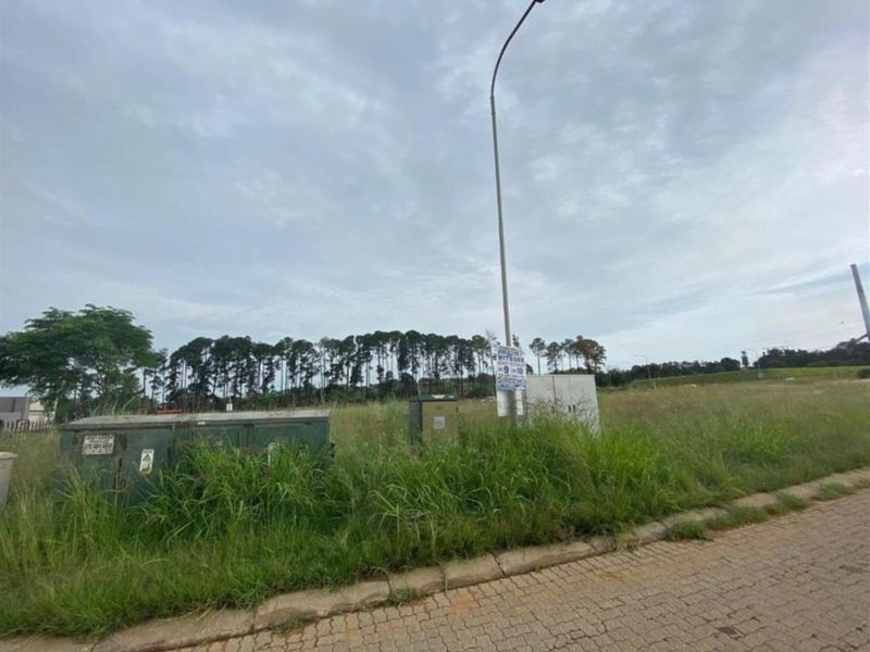 A view of a vacant agricultural plot featuring roadside electrical utility boxes and a street lamp, with a treeline in the background.