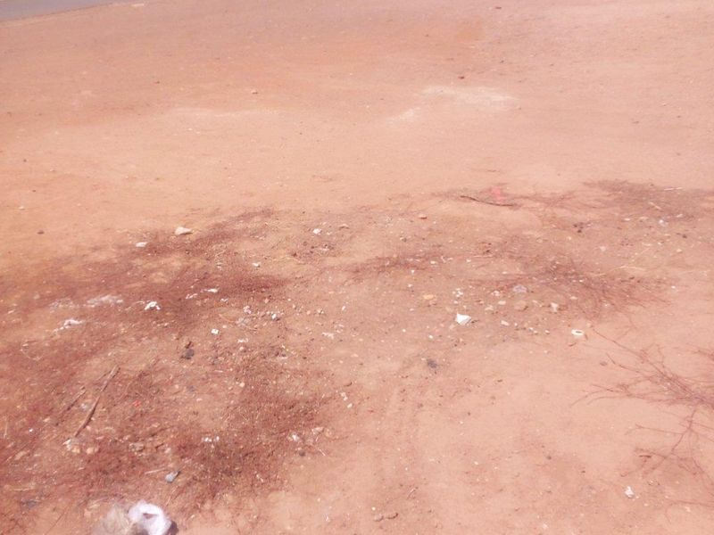 Vacant Land For Sale in Riversdale - Photo 4