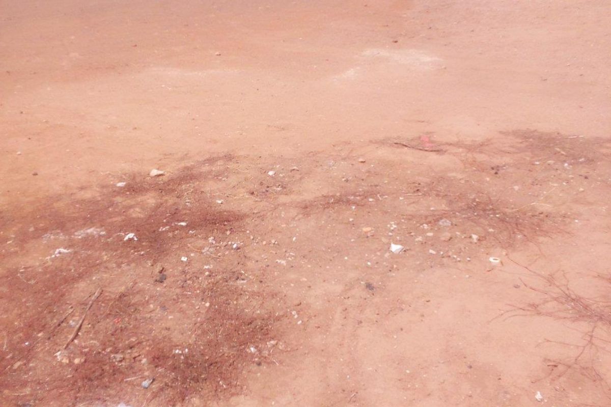 Vacant Land For Sale in Riversdale - Photo 4