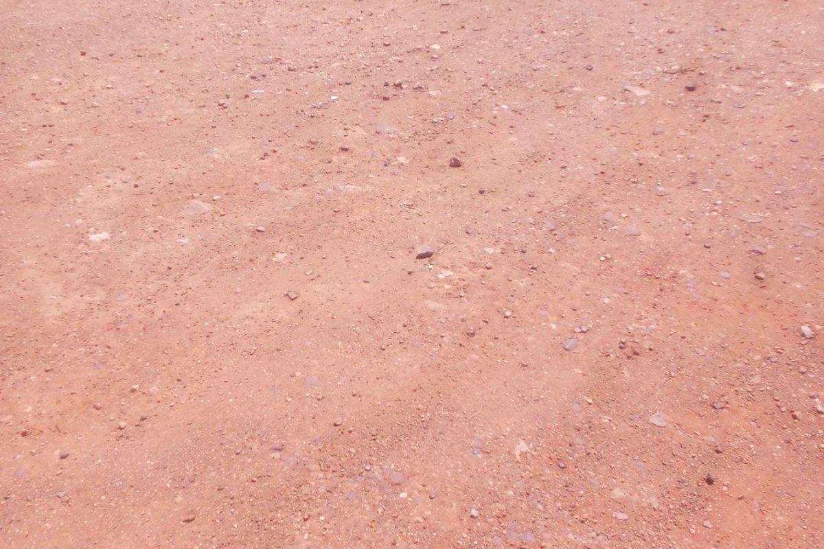 Vacant Land For Sale in Riversdale - Photo 5