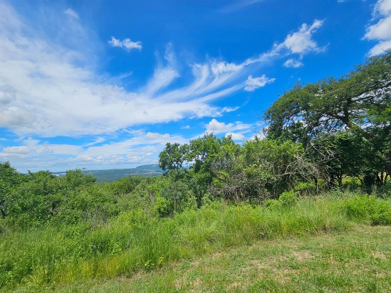 Vacant Land For Sale in Likweti Bushveld Farm Estate, White River - Photo 10