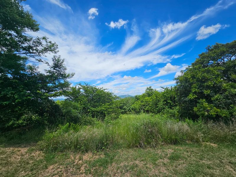 Vacant Land For Sale in Likweti Bushveld Farm Estate, White River - Photo 8