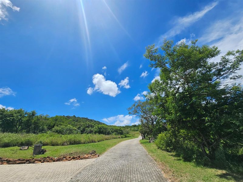 Vacant Land For Sale in Likweti Bushveld Farm Estate, White River - Photo 6