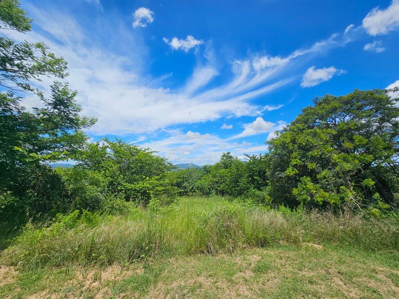 Vacant Land For Sale in Likweti Bushveld Farm Estate, White River - Photo 7