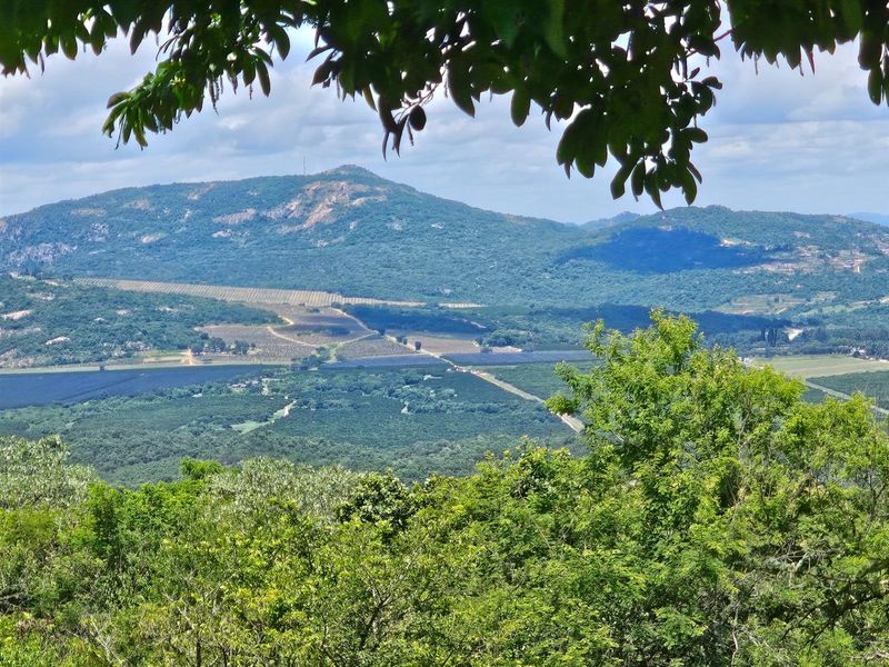 Vacant Land For Sale in Likweti Bushveld Farm Estate, White River - Photo 2