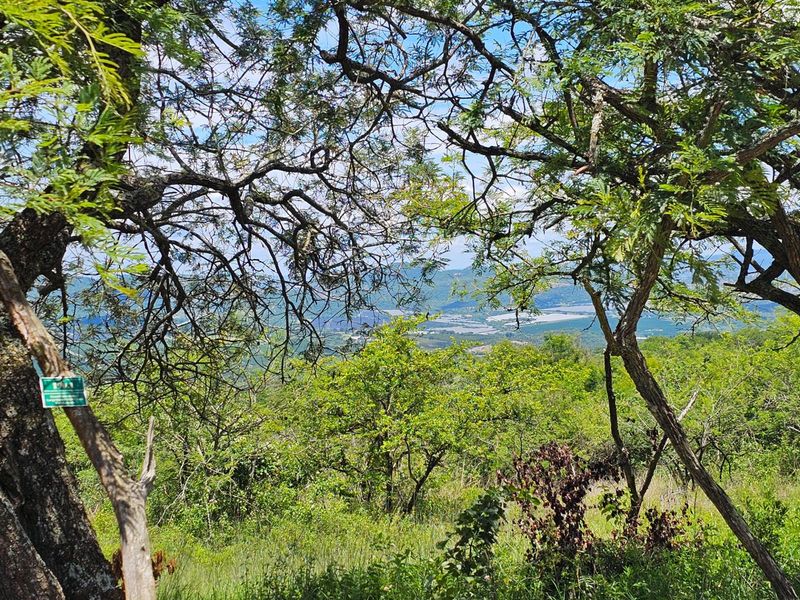 Vacant Land For Sale in Likweti Bushveld Farm Estate, White River - Photo 4