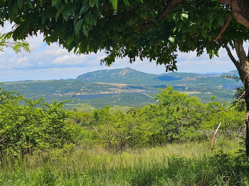 Vacant Land For Sale in Likweti Bushveld Farm Estate, White River - Photo 3