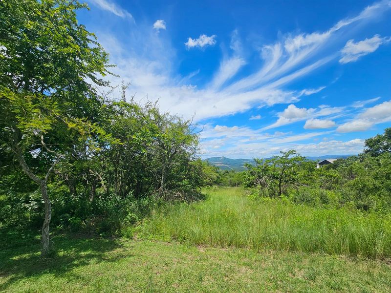Vacant Land For Sale in Likweti Bushveld Farm Estate, White River - Photo 9