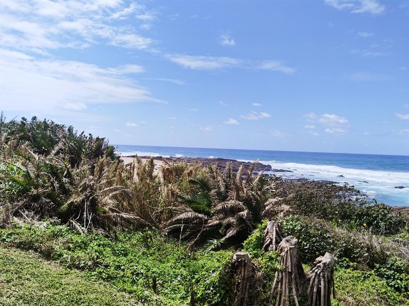 IDEAL RETIREMENT OPPORTUNITY - Photo 5