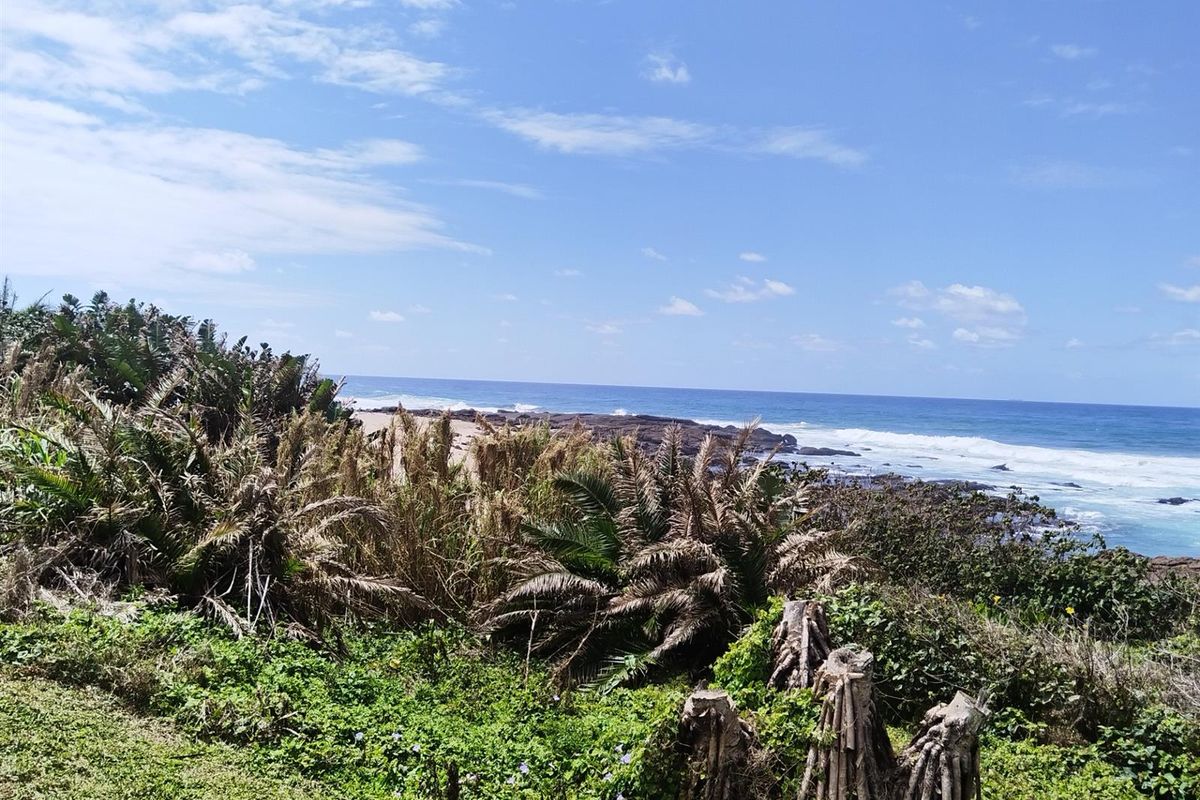 IDEAL RETIREMENT OPPORTUNITY - Photo 5