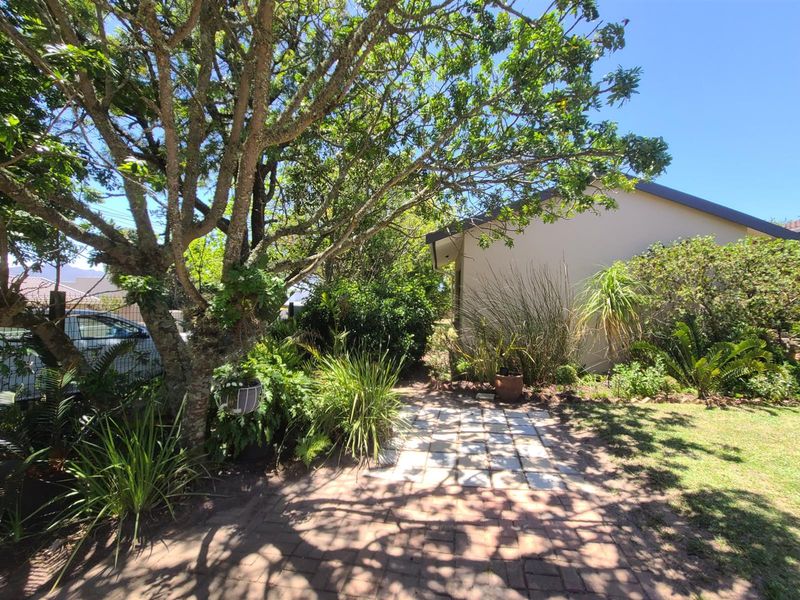 Lushes garden with flatlet income generator in Kareedouw - Photo 4