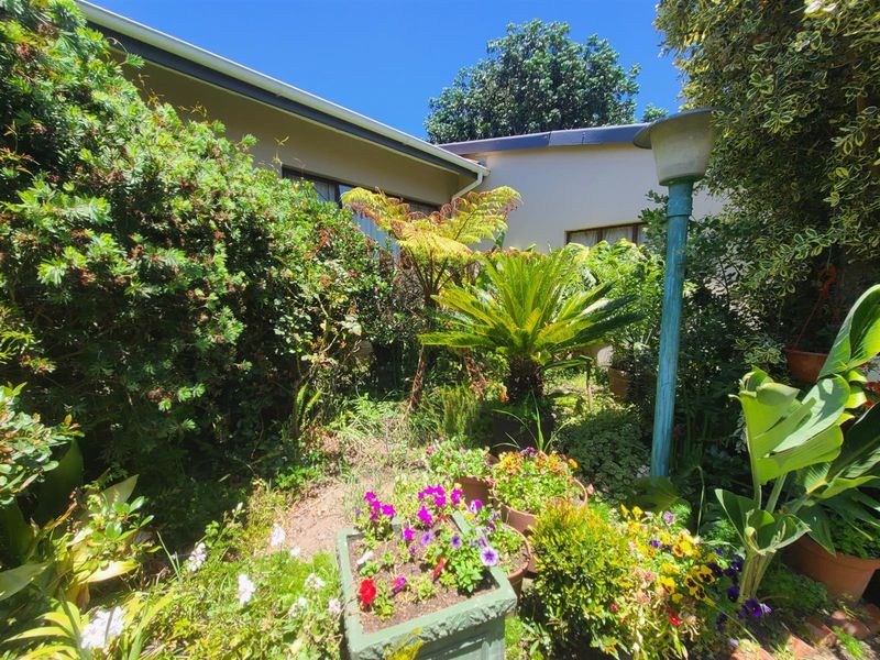 Lushes garden with flatlet income generator in Kareedouw - Photo 8