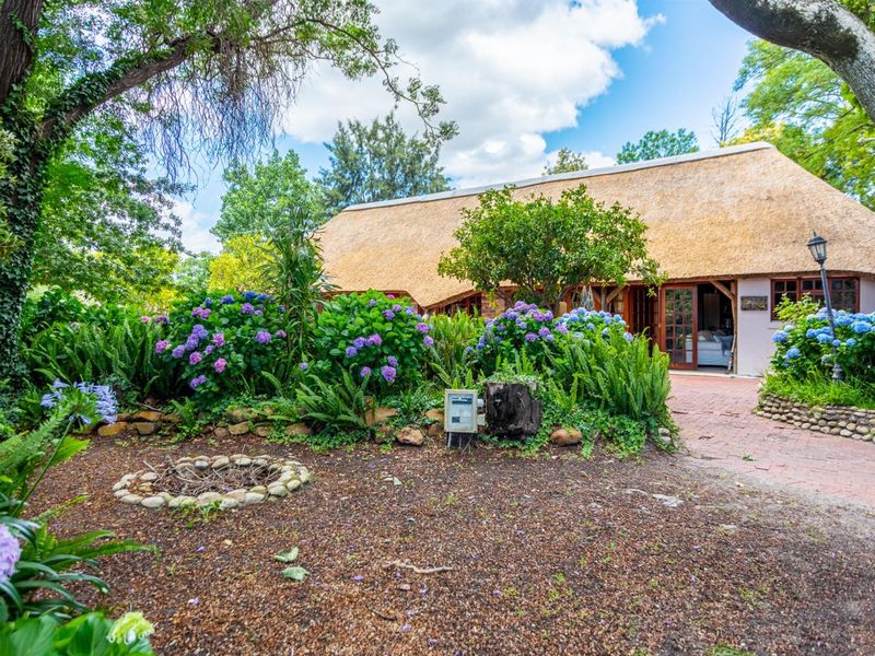 Exceptional Riverside Farm in the Prestigious Franschhoek Valley - Photo 5