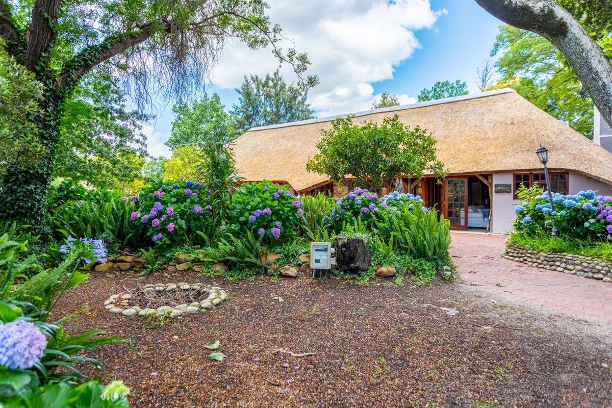 Exceptional Riverside Farm in the Prestigious Franschhoek Valley - Photo 5