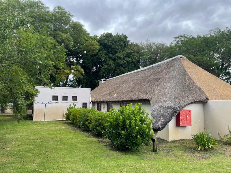 Exceptional Riverside Farm in the Prestigious Franschhoek Valley - Photo 6