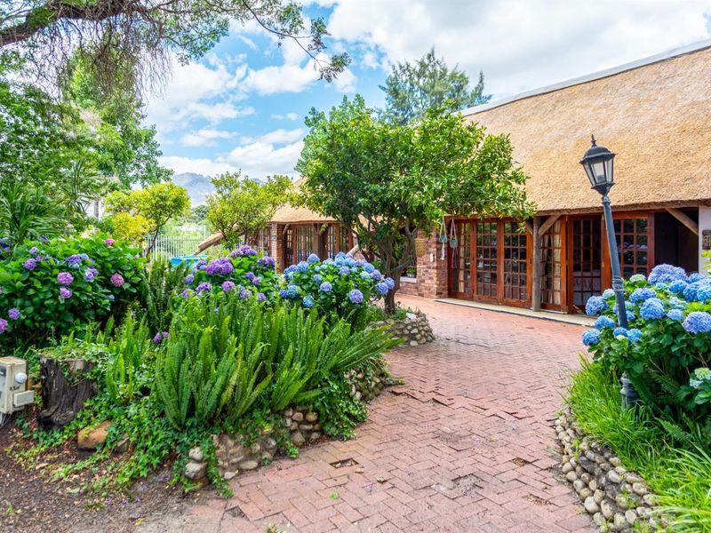 Exceptional Riverside Farm in the Prestigious Franschhoek Valley - Photo 4