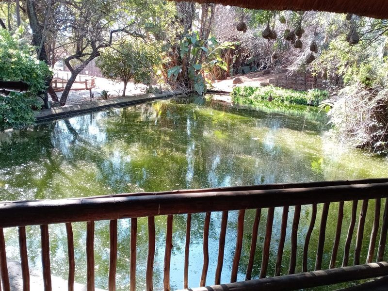 Spacious house in Derdepoort to rent - Photo 6