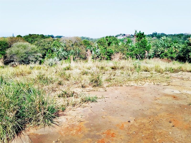 Build Your Dream Home in a Serene Coastal Haven - Photo 10