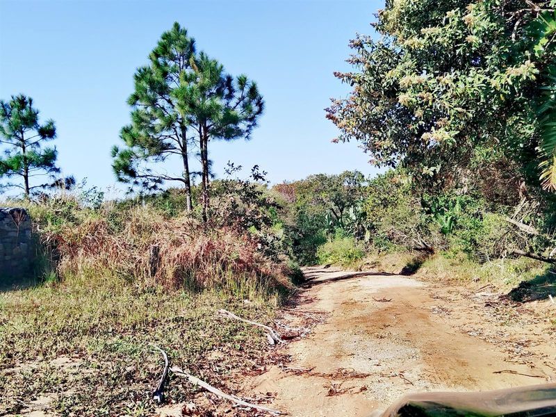 Build Your Dream Home in a Serene Coastal Haven - Photo 7