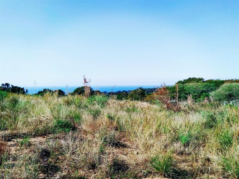 Build Your Dream Home in a Serene Coastal Haven - Photo 6