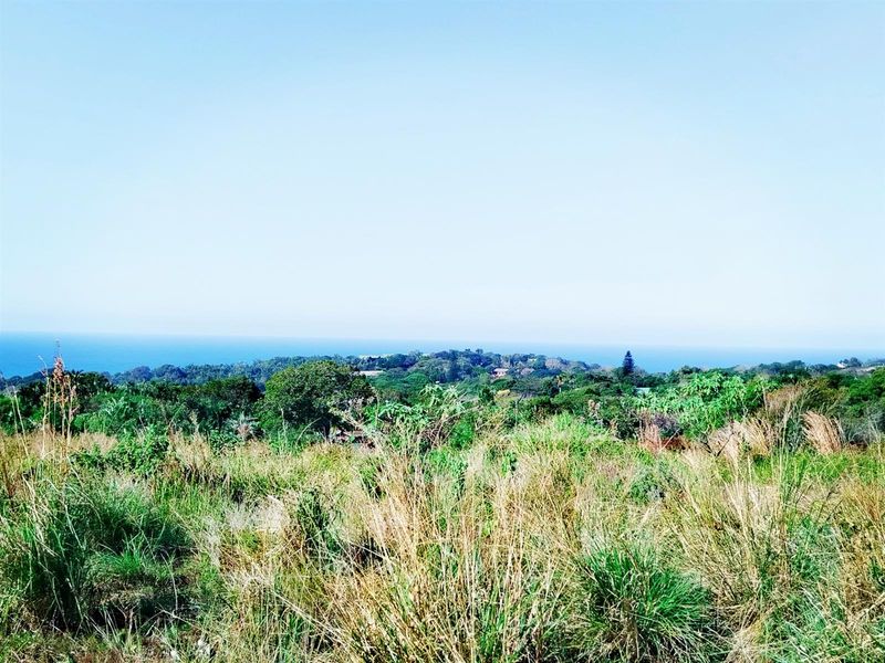 Build Your Dream Home in a Serene Coastal Haven - Photo 2