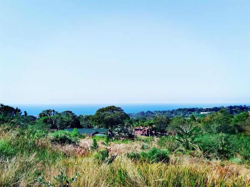 Build Your Dream Home in a Serene Coastal Haven - Photo 5