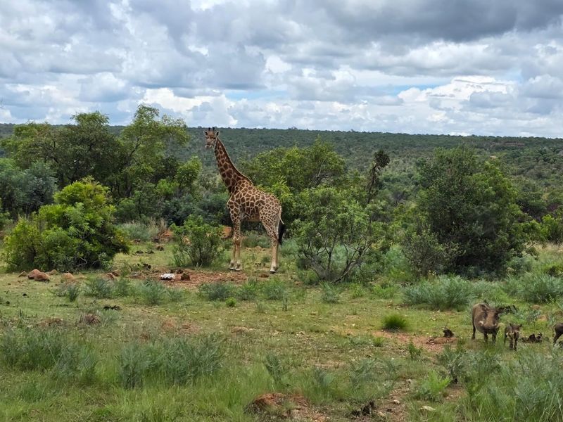 Private Lodge in Mabalingwe Nature Reserve - A Big 5 Lodge of Peace and Tranquillity - Photo 3