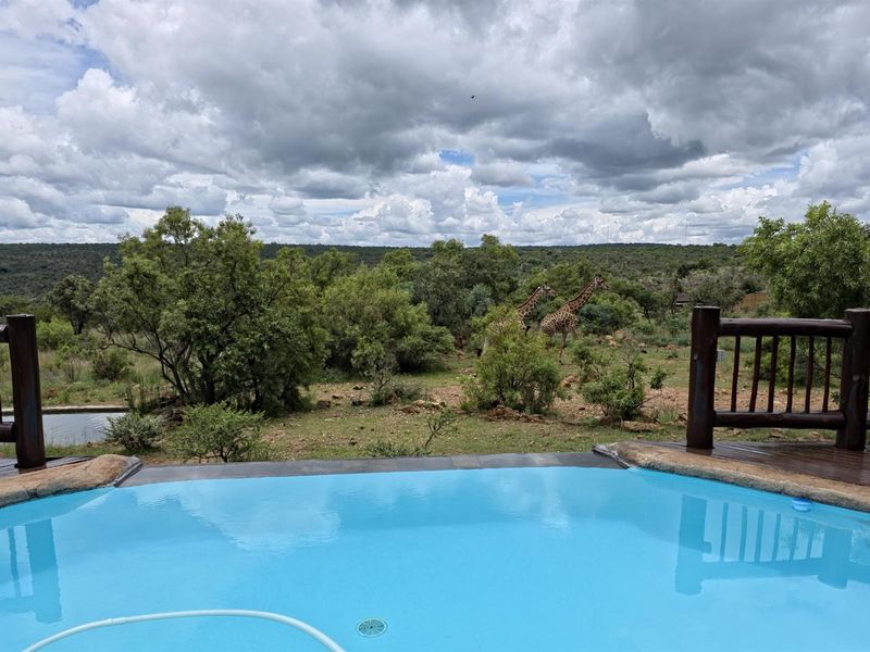 Private Lodge in Mabalingwe Nature Reserve - A Big 5 Lodge of Peace and Tranquillity - Photo 4