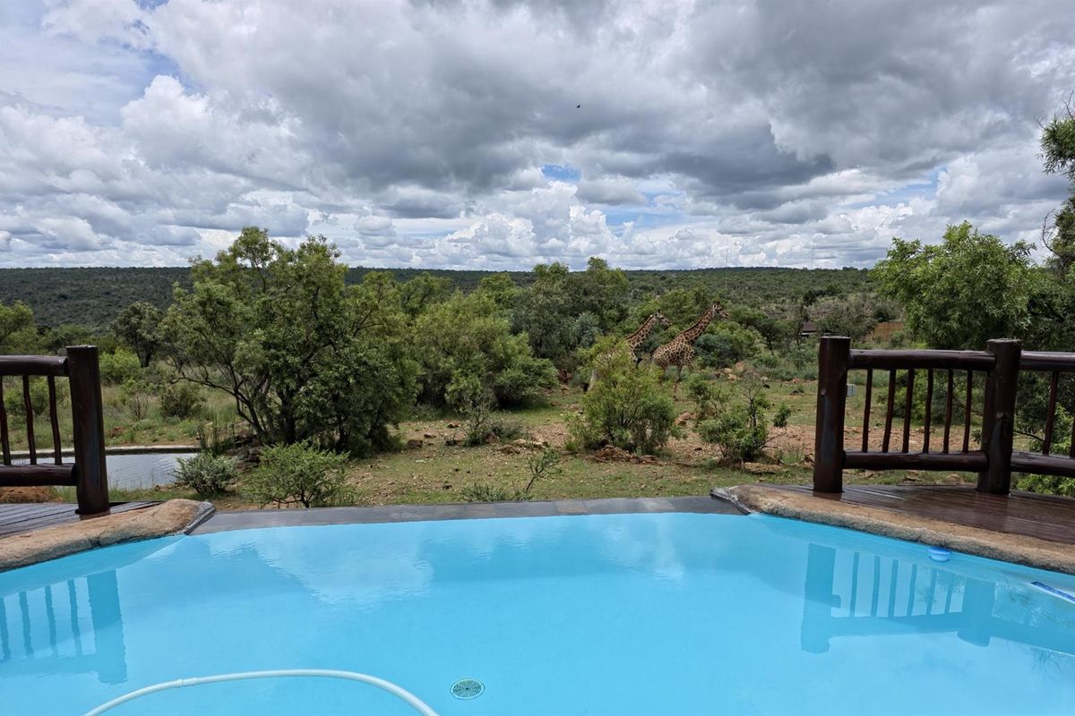Private Lodge in Mabalingwe Nature Reserve - A Big 5 Lodge of Peace and Tranquillity - Photo 4