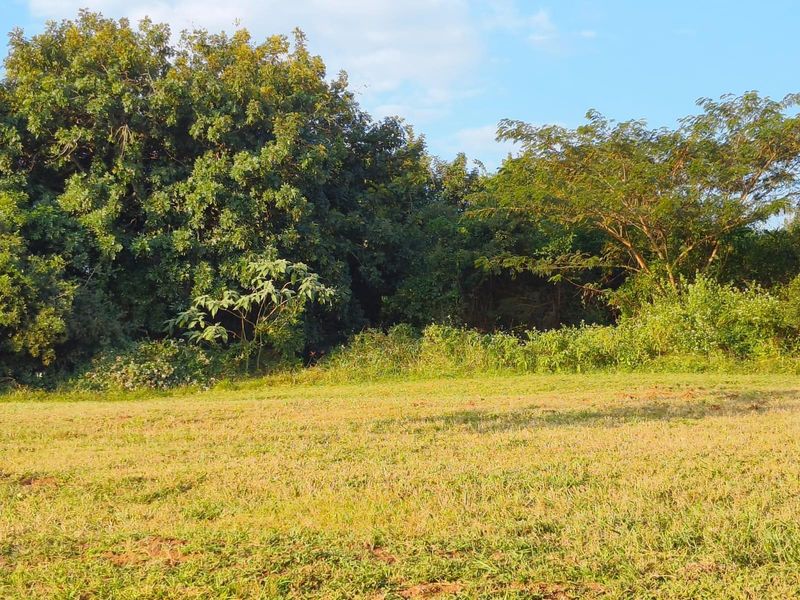 A view of a vacant residential plot featuring established trees and open grassy terrain.