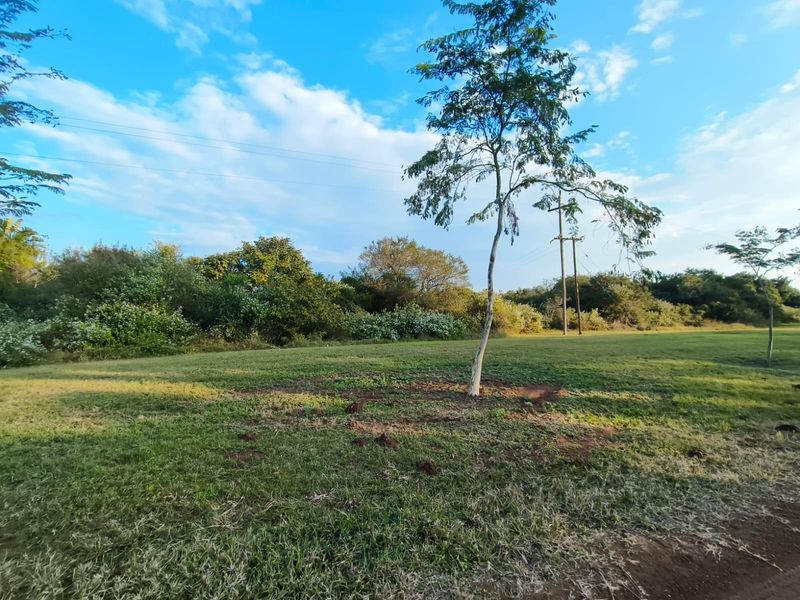 A view of a vacant residential plot featuring a grass lawn, mature trees, and existing utility infrastructure.