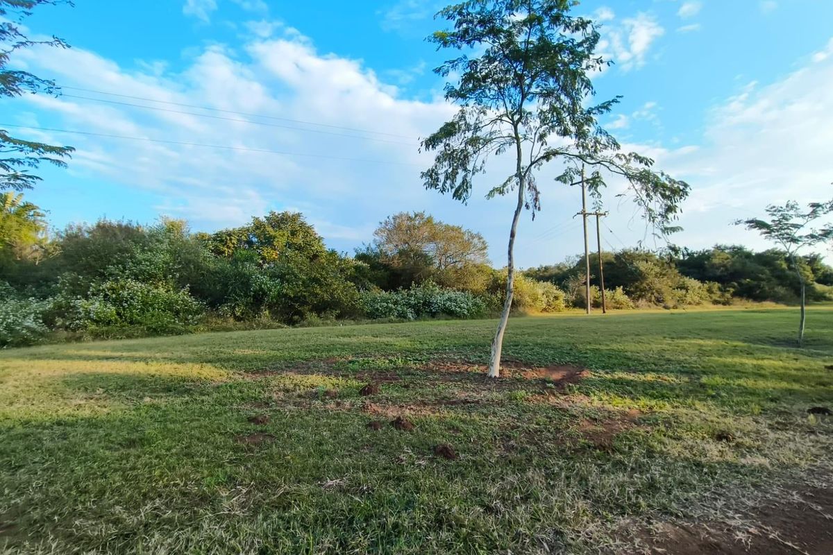 A view of a vacant residential plot featuring a grass lawn, mature trees, and existing utility infrastructure.