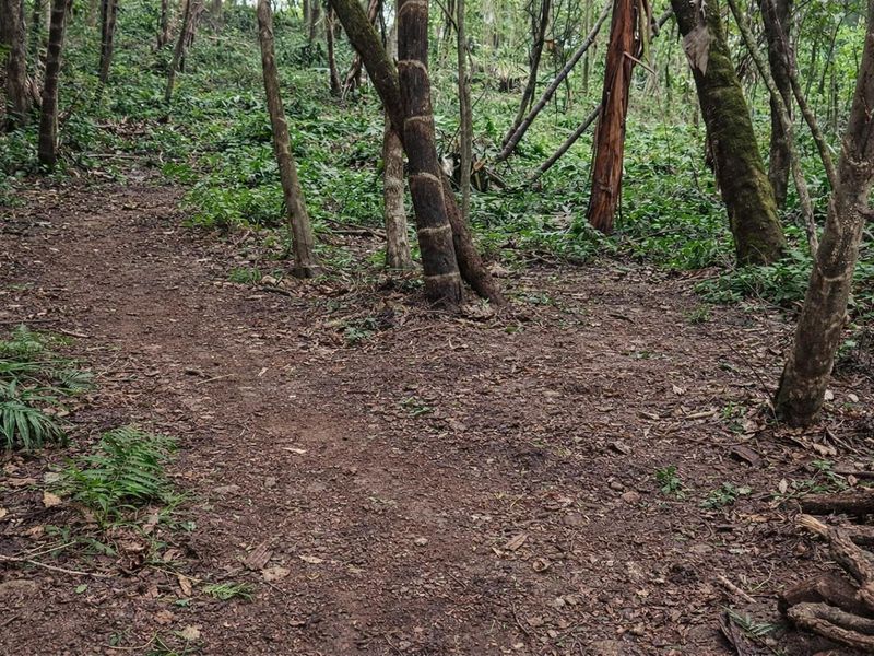 Less than 2km away from the beach, a rare vacant stand awaits - Photo 2
