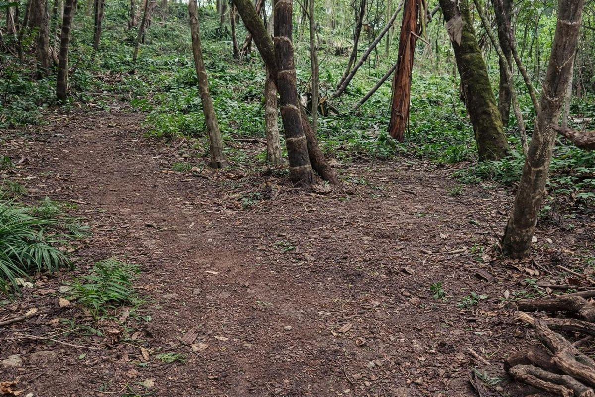 Less than 2km away from the beach, a rare vacant stand awaits - Photo 2