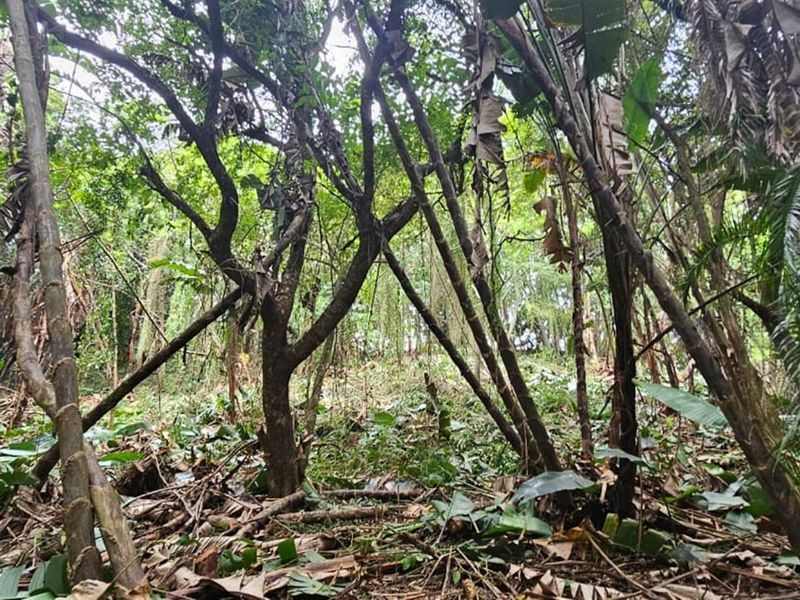 Less than 2km away from the beach, a rare vacant stand awaits - Photo 5