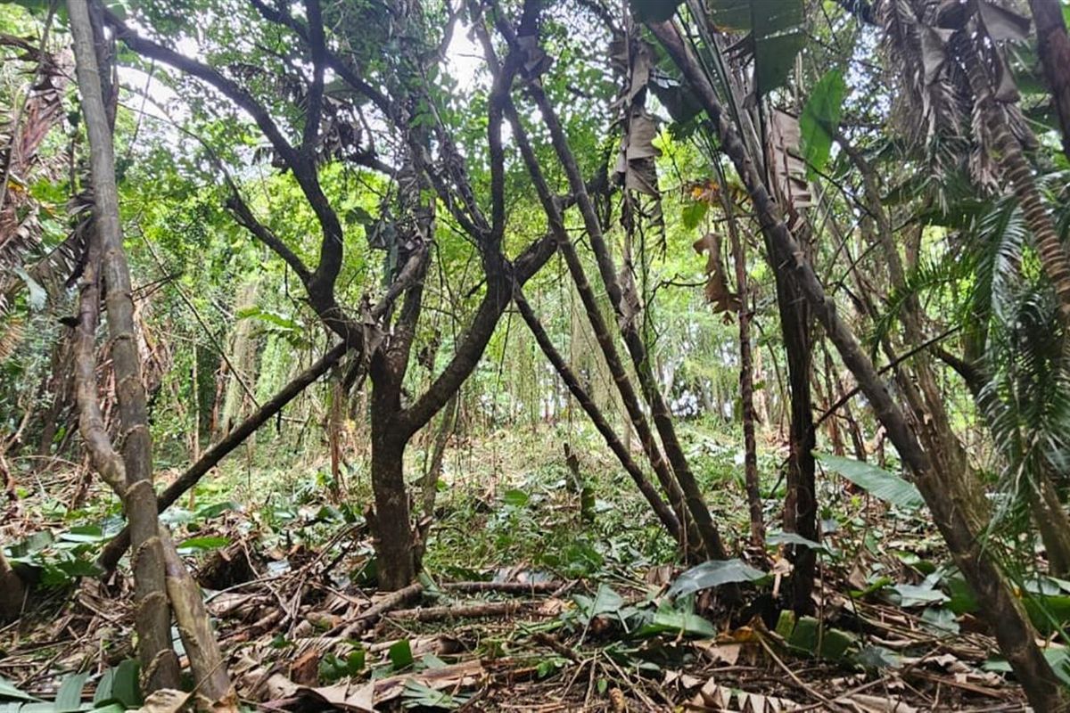 Less than 2km away from the beach, a rare vacant stand awaits - Photo 5